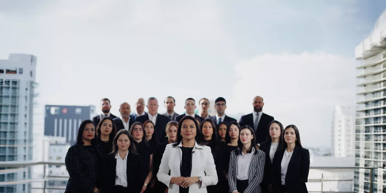 Ricardo Antonio Pellerano and Pellerano and Herrera Law Team