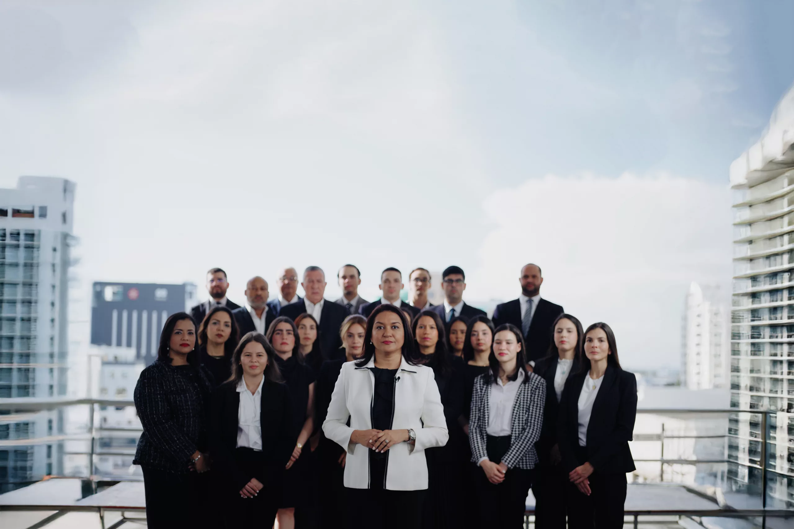 Ricardo Antonio Pellerano and Pellerano and Herrera Law Team