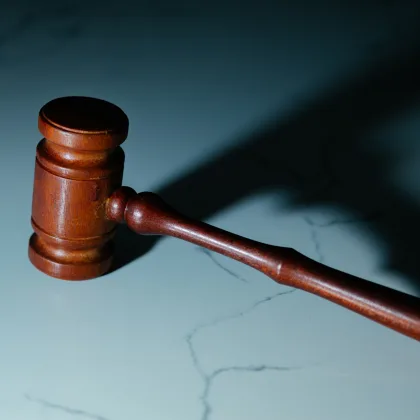 Litigios y Resolución de Conflictos