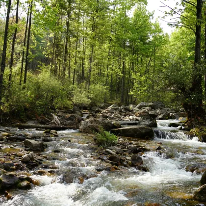 Environment and Natural Resources